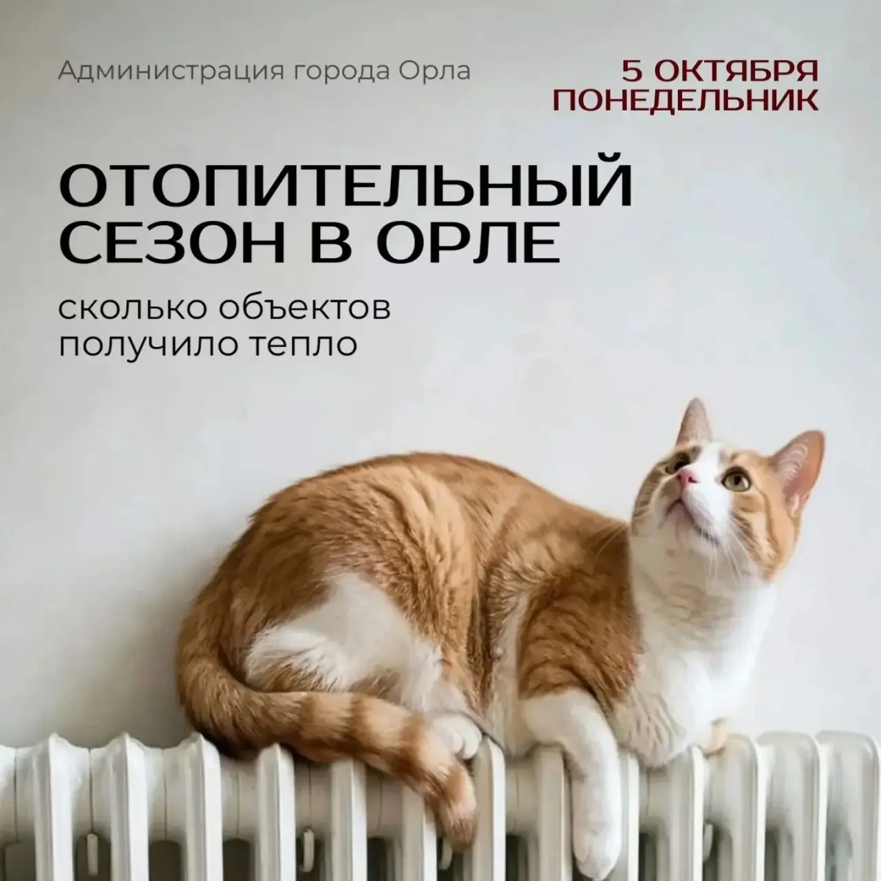 🔥 Во всех школах и детсадах Орла уже появилось отопление