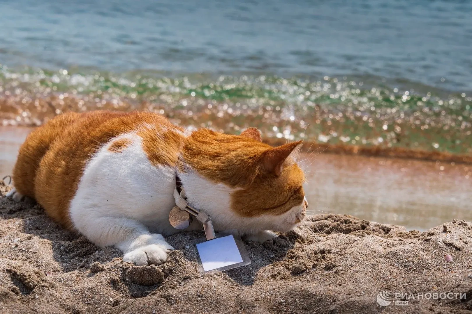 😻Первые дни лета – идеальное время для моей подборки отпускных рекомендаций.