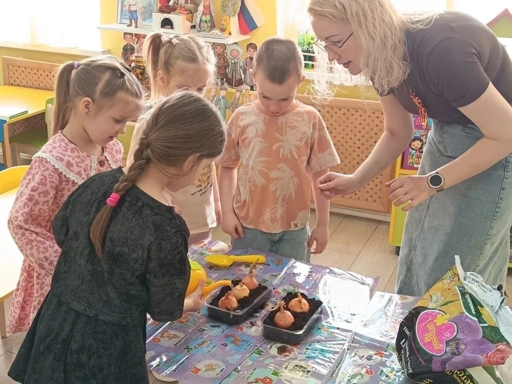 Огород на подоконнике: маленькие чудеса в детских садах Курска  На подоконниках детского сада № 85 р