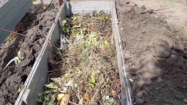 Подготовка грядки для посадки огурцов

Огуречную грядку готовят на хорошо освещенном и прогреваемом 