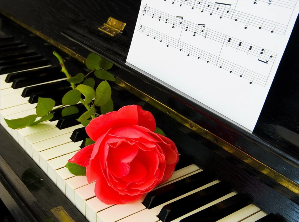 Поздравляем победителей! 🎉💐