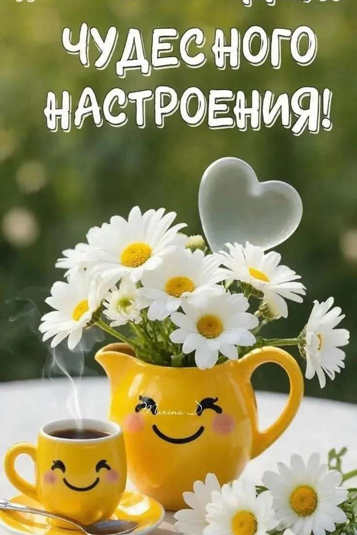 Чудесного дня! Прекрасного настроения!