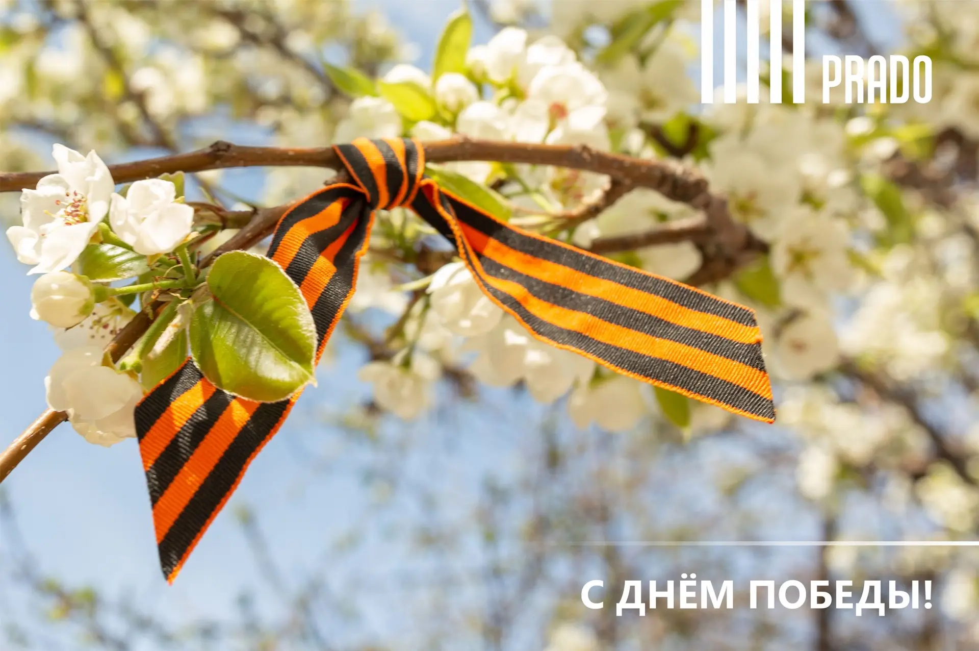9 Мая — день памяти, гордости и благодарности.