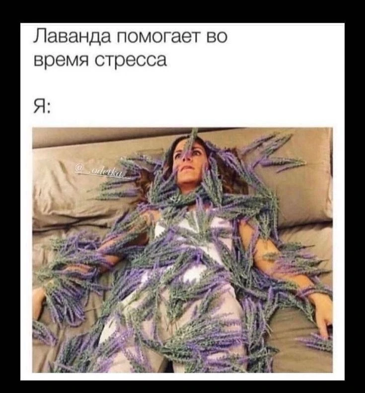 😄😄😄