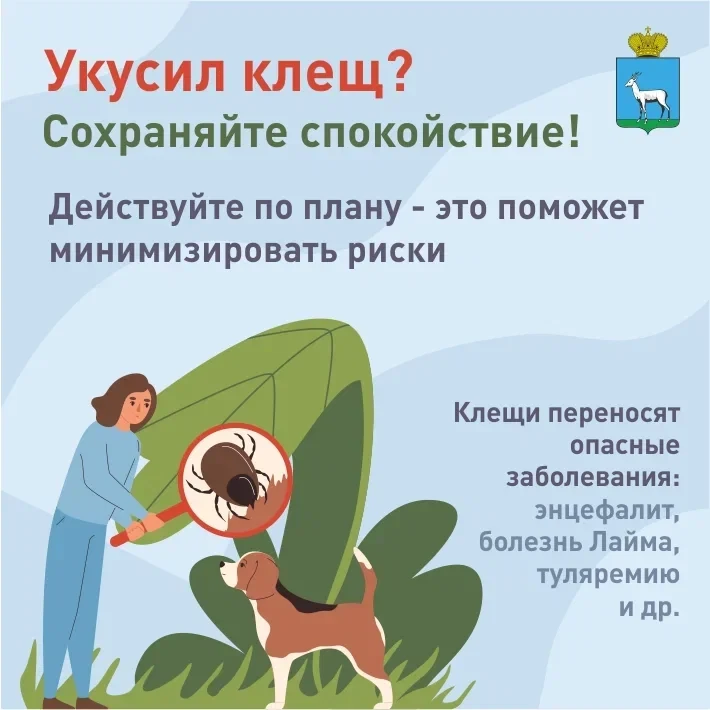Внимание❗️
