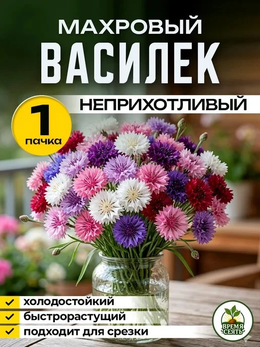 ⚡ СКИДКА 96% — СКОРО СГОРИТ!
