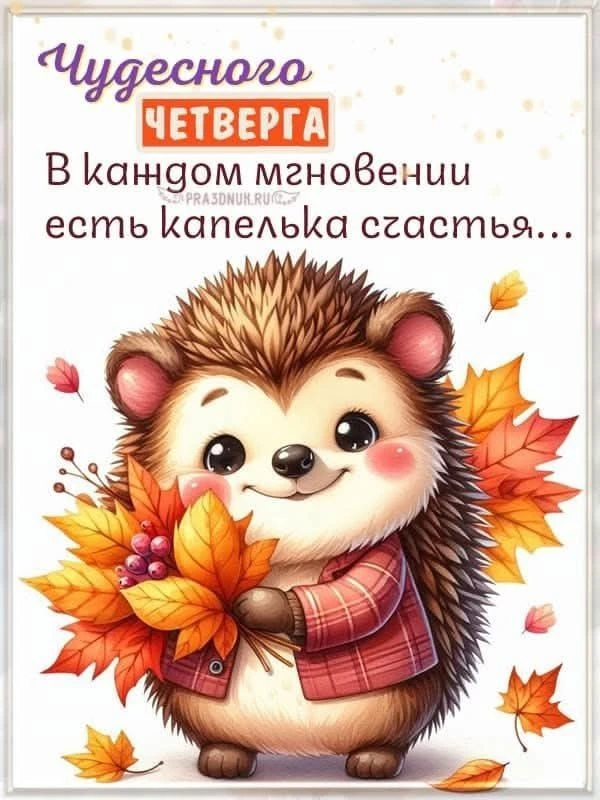 Доброе утро Четверг🍂🌸Солнышка и радости вашему сердцу😍