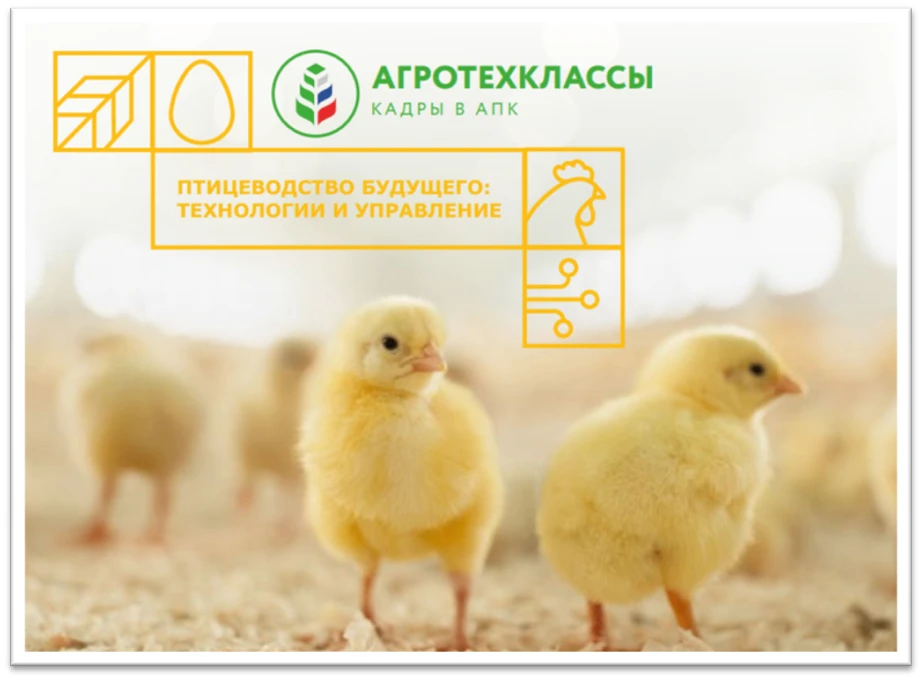 В новом 2026 - 2027 учебном году в Дятьковском районе состоится открытие агротехнологич...