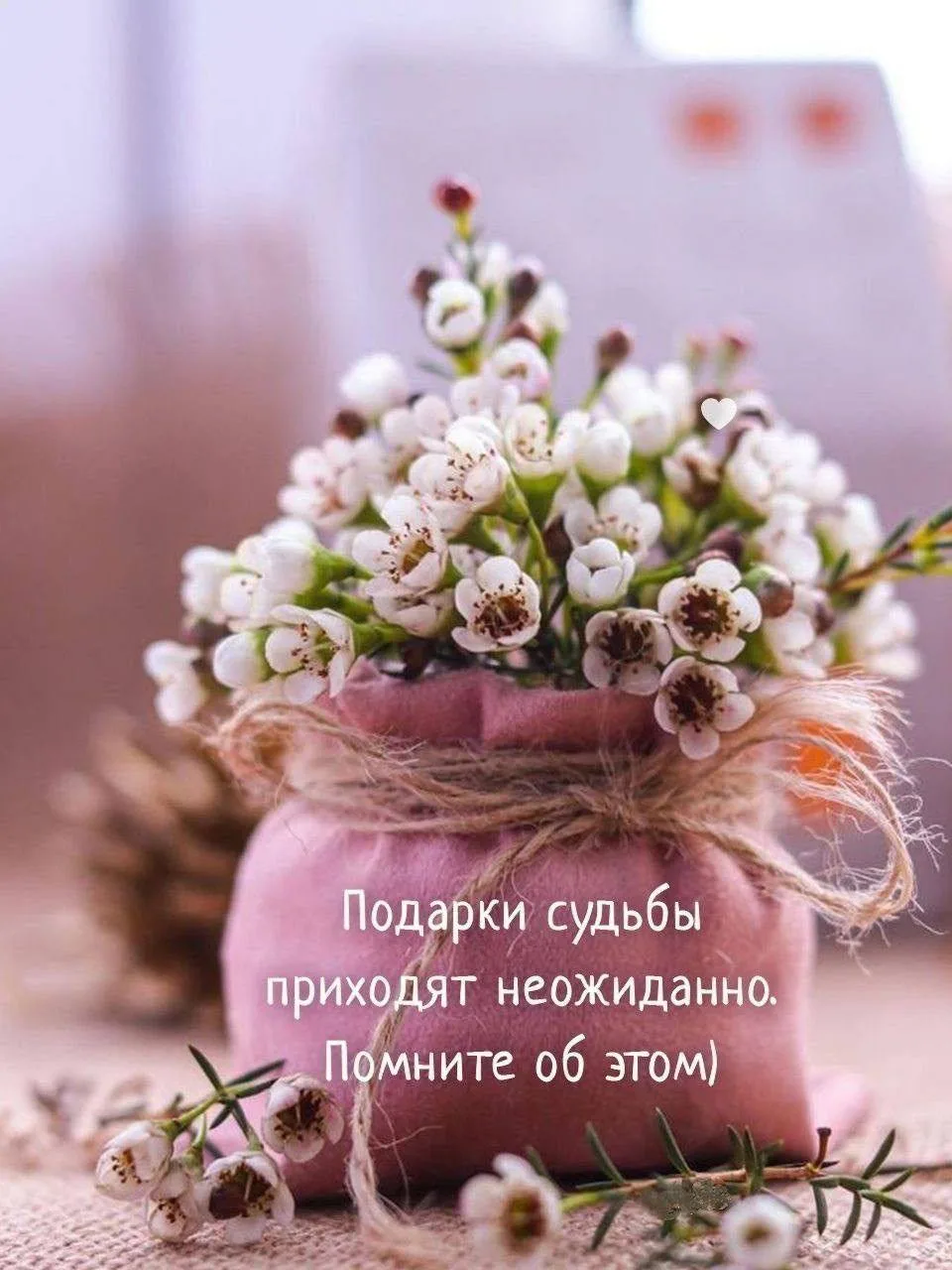 Настроение 💞

Открытки в MAX 👉️Подписаться