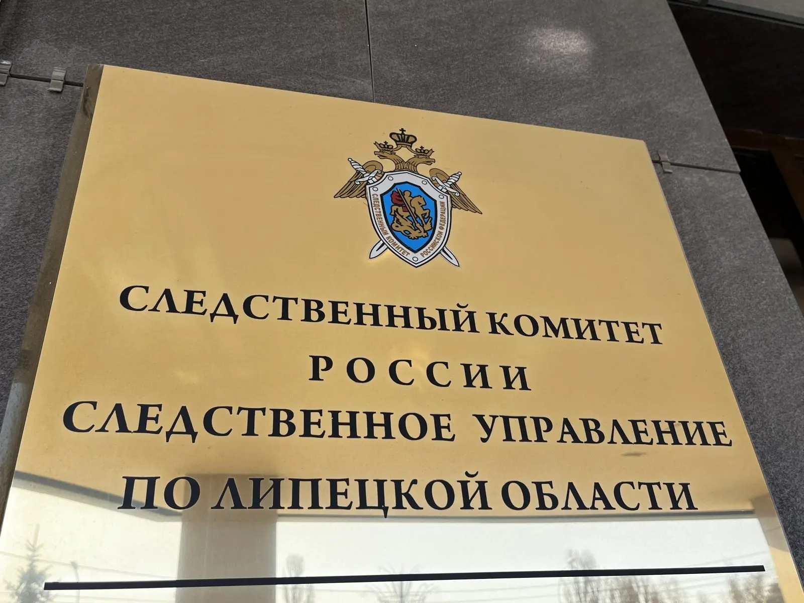 ❗️Житель Добровского округа обвиняется в причинении тяжкого вреда здоровью женщины, пов...