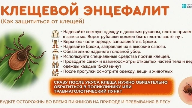 ❗❗❗ Внимание: клещи опасны! Памятка для всей семьи.