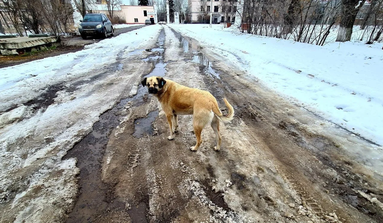 🥰 Фотограф Константин Завриков отправился гулять по улицам города, чтобы показать, что красота може
