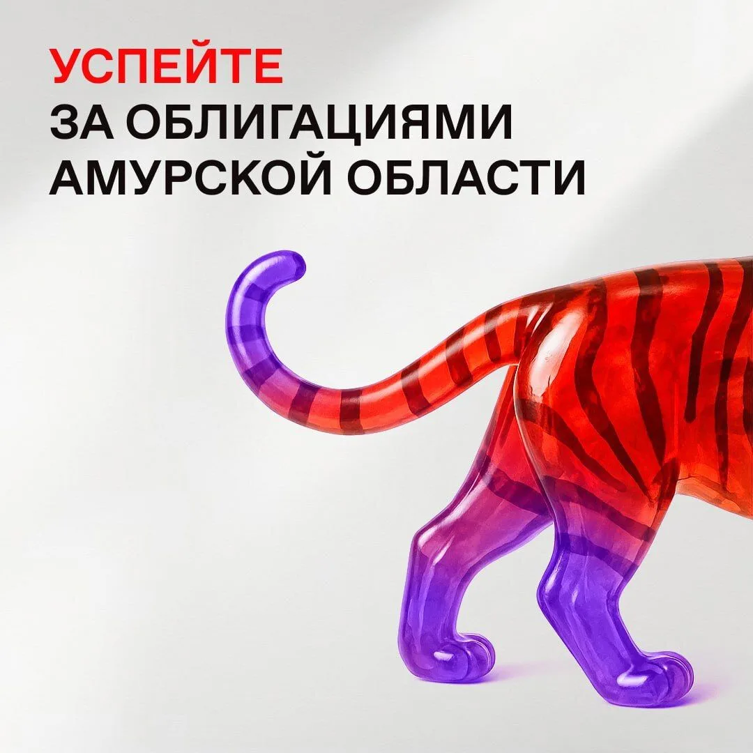 📊 Народные облигации Амурской области: инвестиции в родной регион доступны каждому

Народные облига