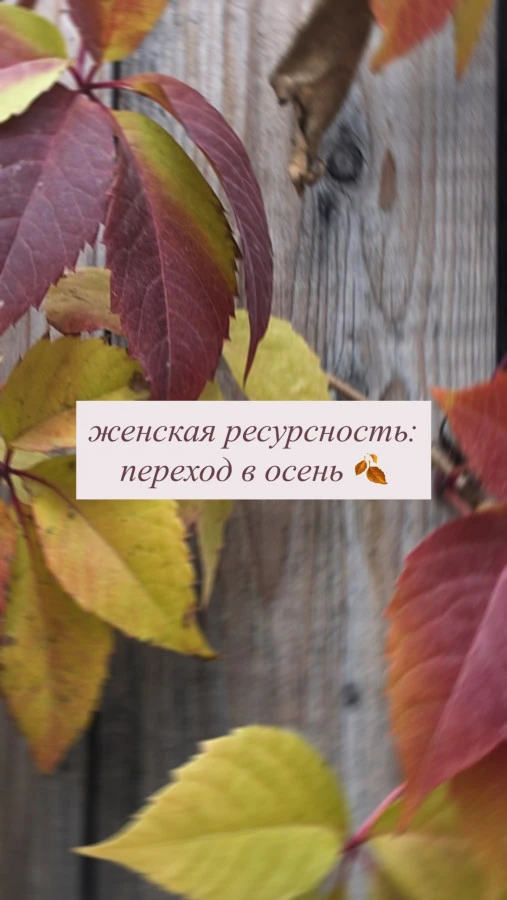 👥 Объявляется набор: