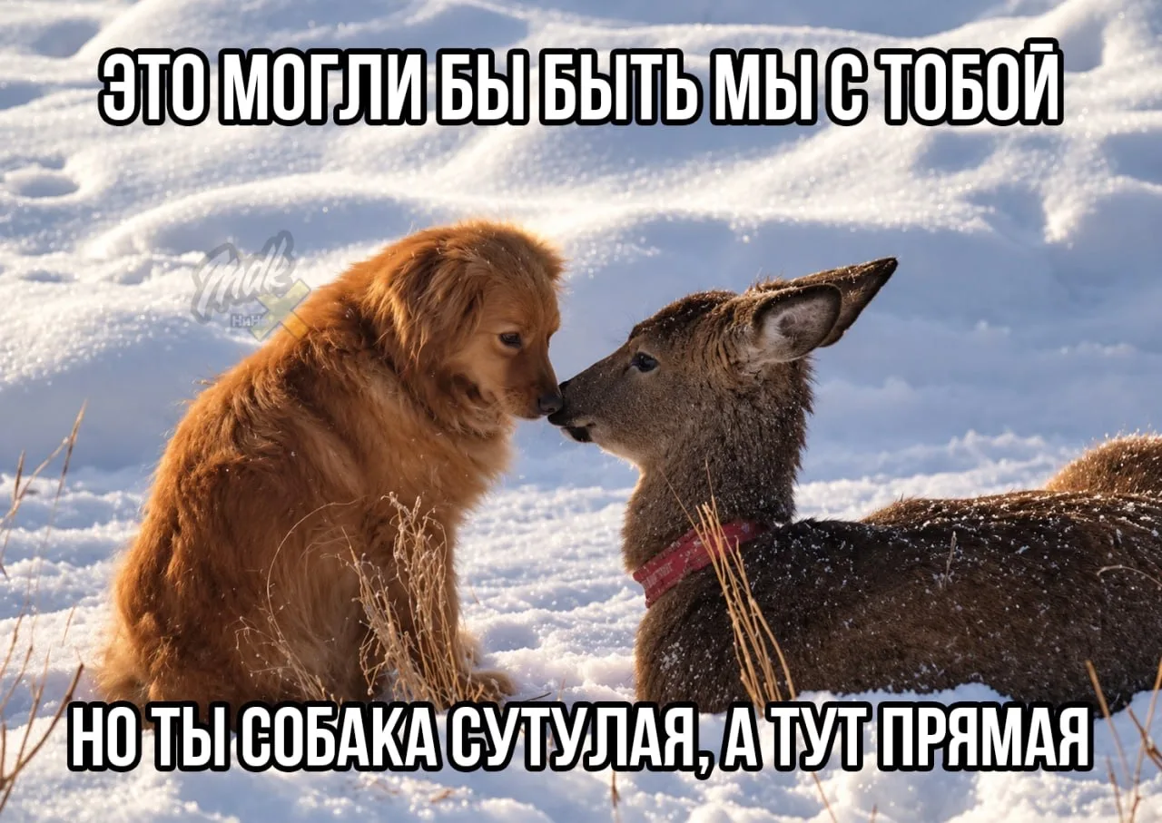 Делай выводы