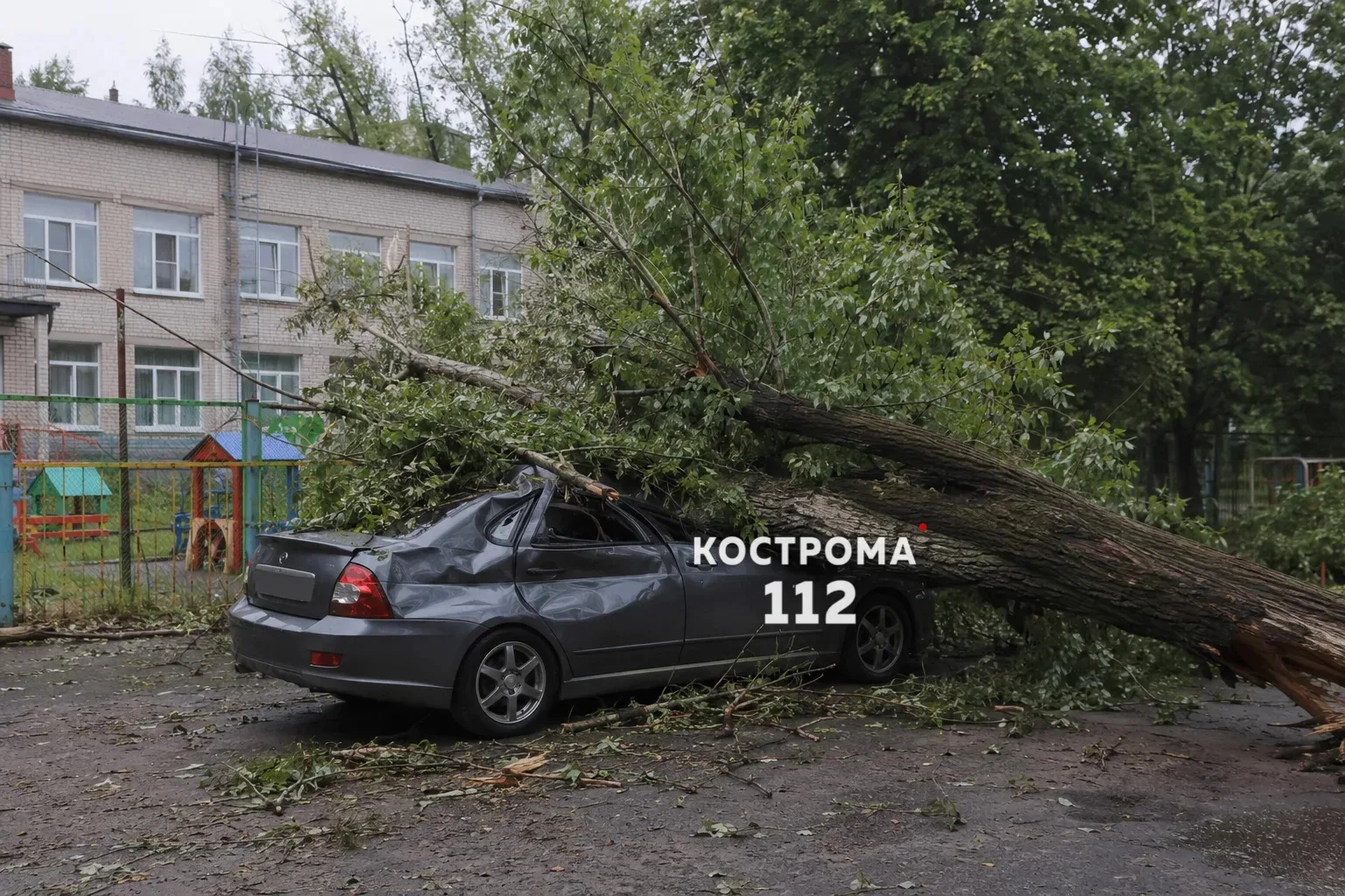 🌳 Детский сад выплатит 496 тысяч рублей за упавшее на машину дерево

В июле 2025 года тополь с терр