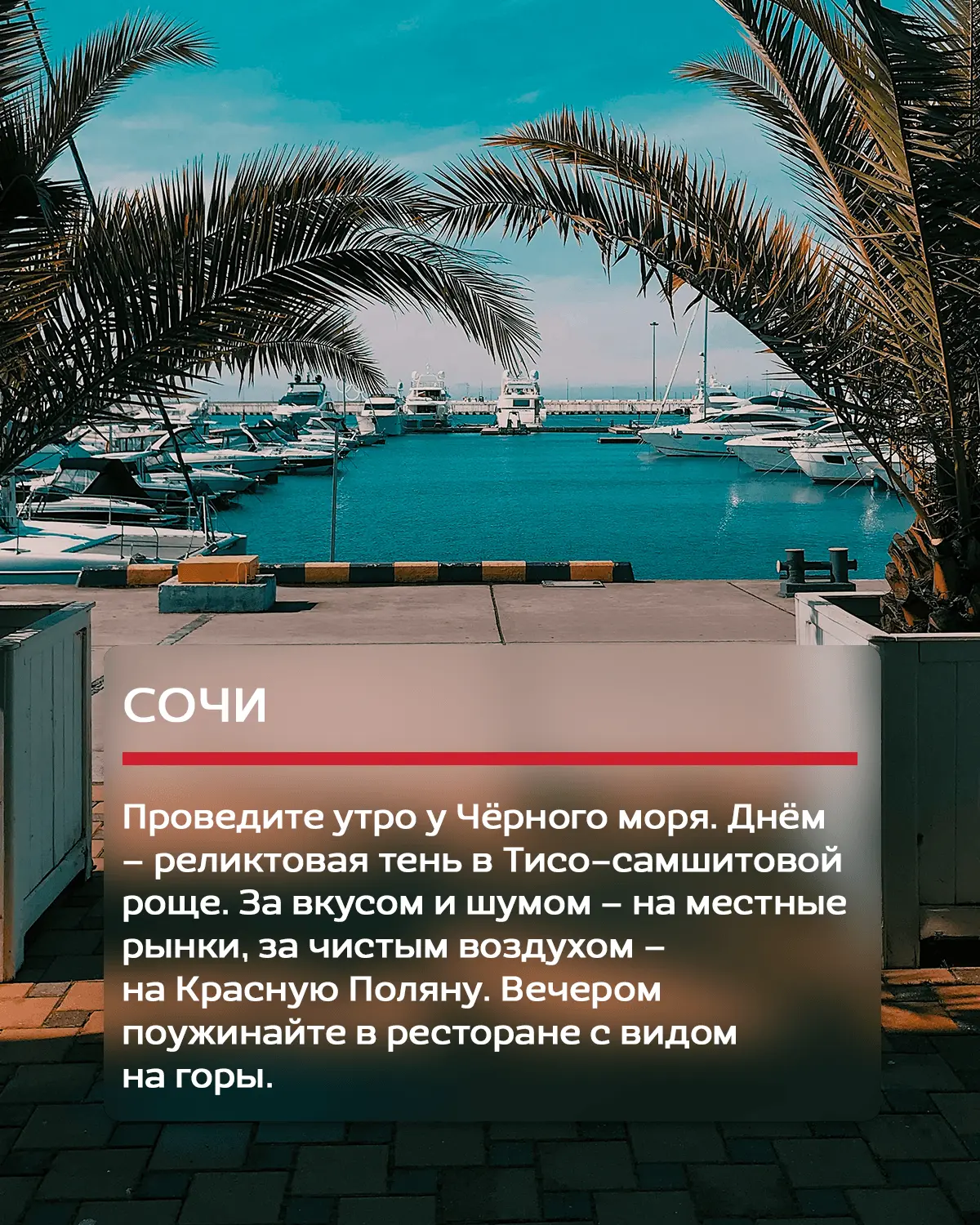 Знаете, в чём прелесть мая? Это время, когда больше не нужно бежать в тропики ради тепла. Оно уже зд