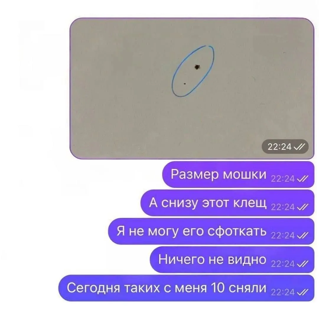😳 Микроклещей массово находят на россиянах

Их размер — всего 1–2 мм, их легко не заметить или прин