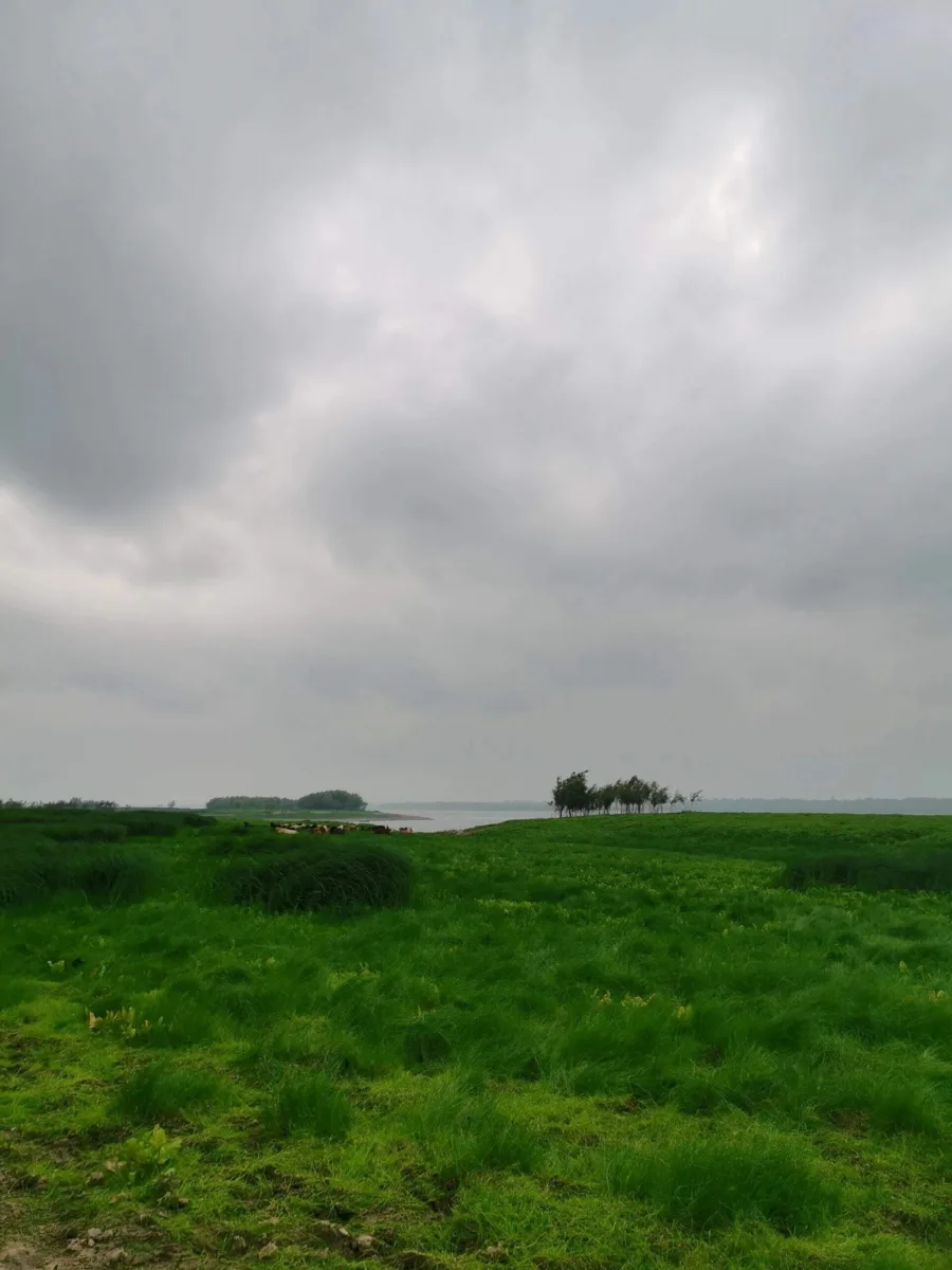 Пасмурные кадры от нашего подписчика 📸🌤️