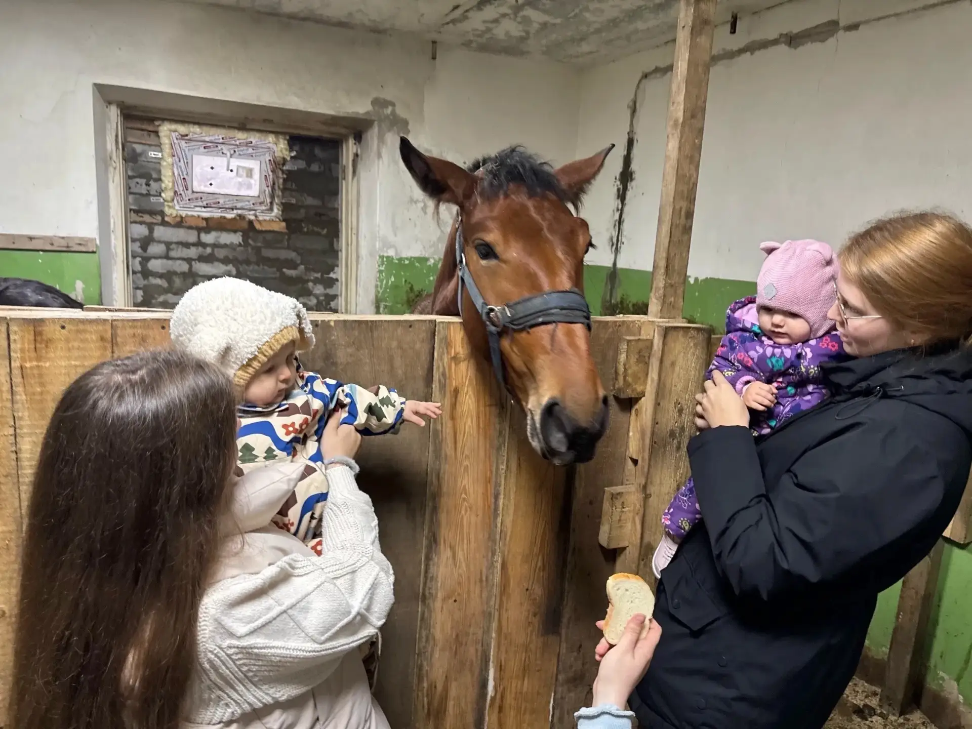 🐎Семейная конюшня «Мечтатель» ждёт в гости!