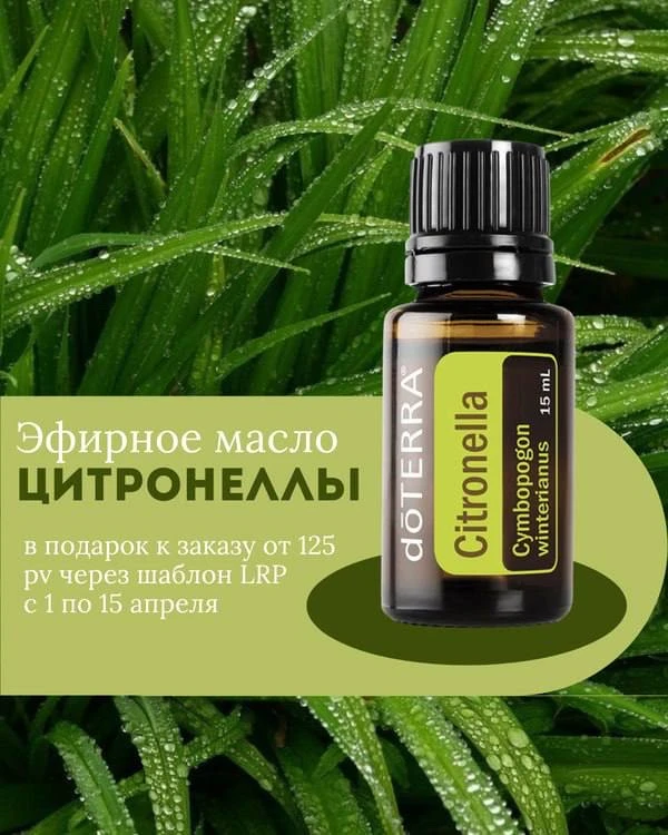 🌿Цитронелла: подарок апреля!