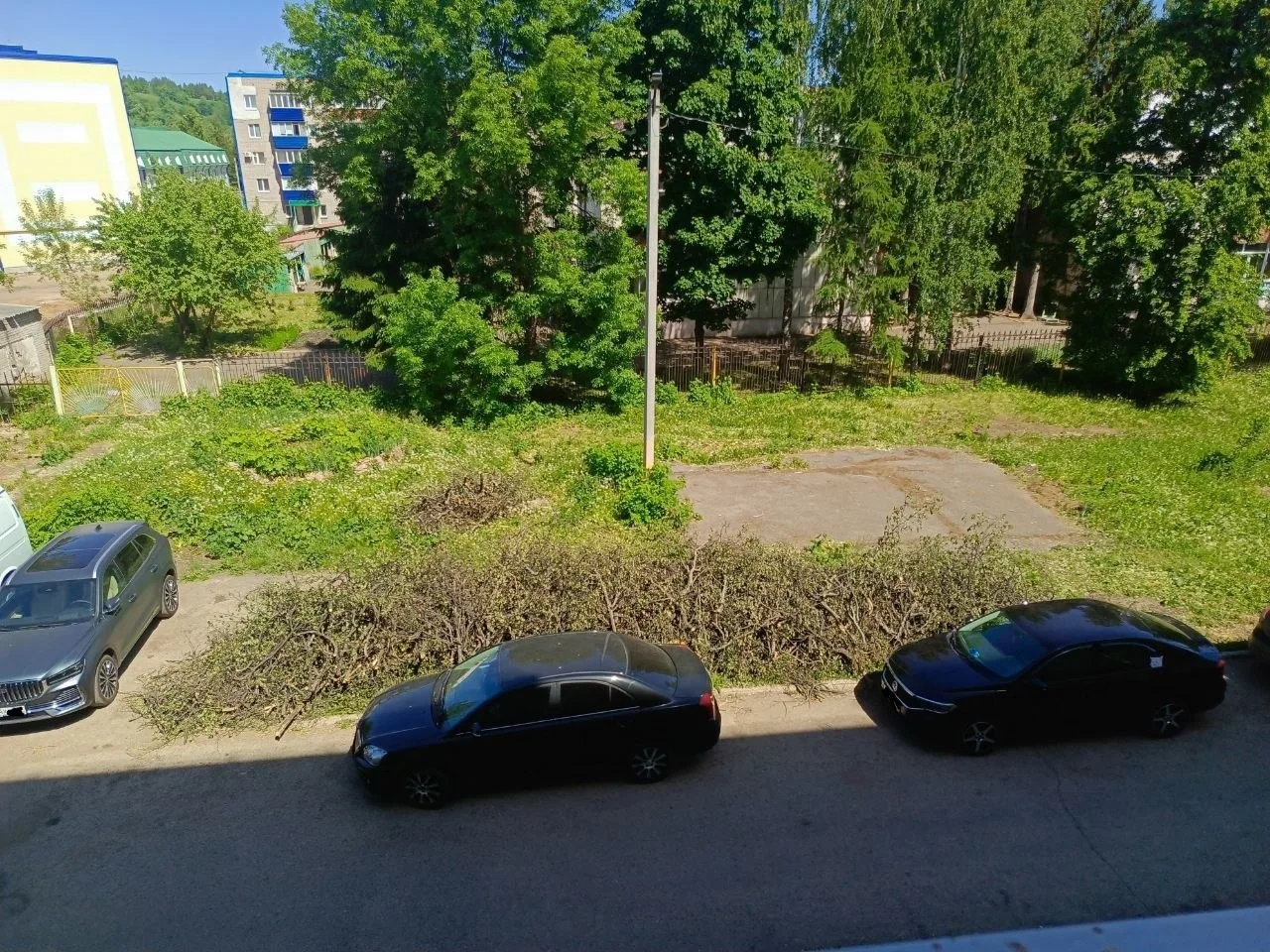 🌳 Спиленные деревья до сих пор не убрали  В Лениногорске возле дома №22 по улице Куйбышева около дву