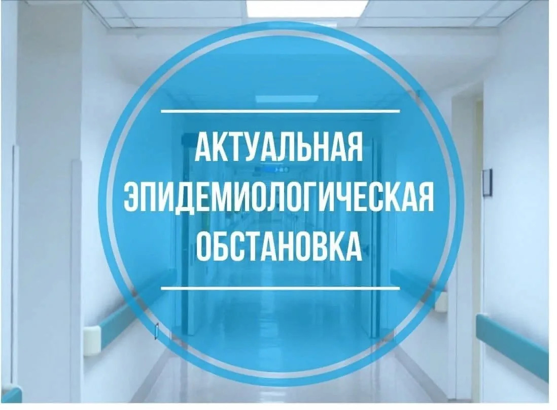 📊 Санитарно-эпидемиологическая обстановка в Павлово-Посадском районе