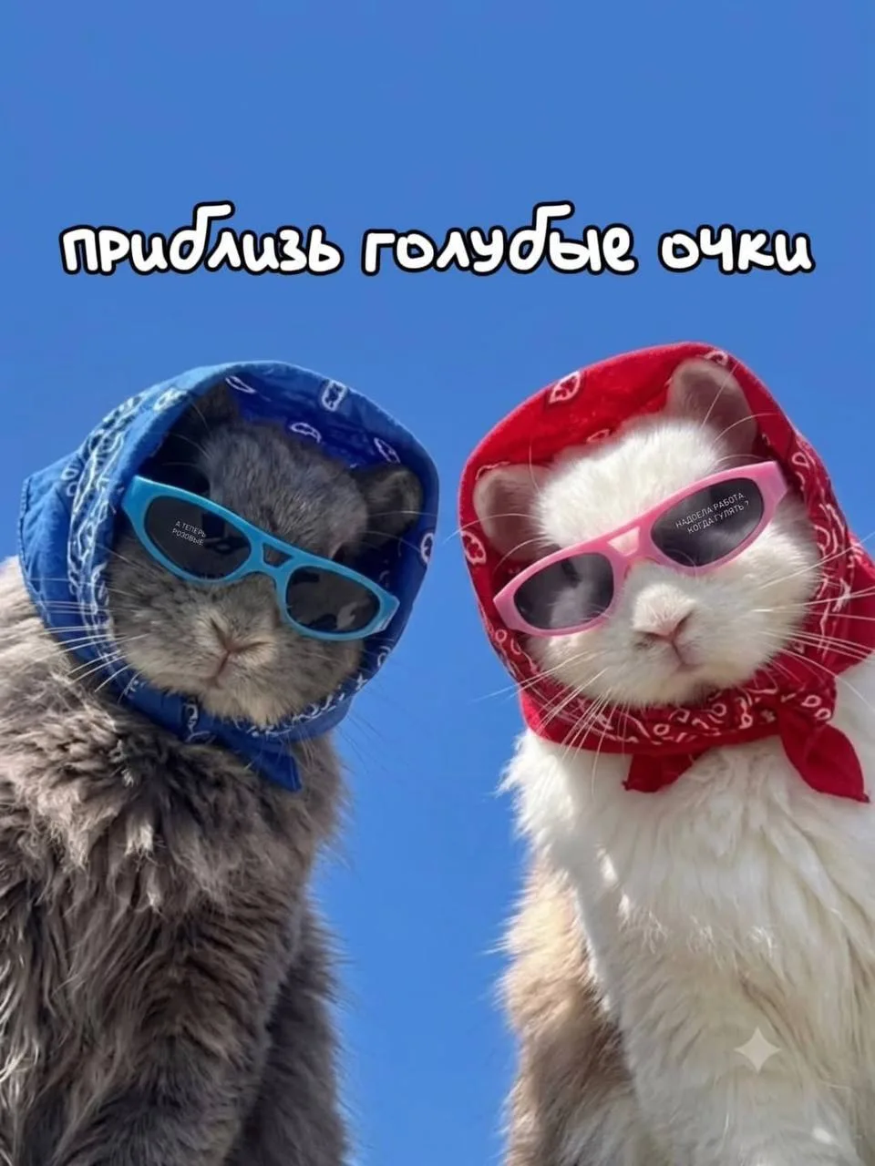 Наконец-то выходные!