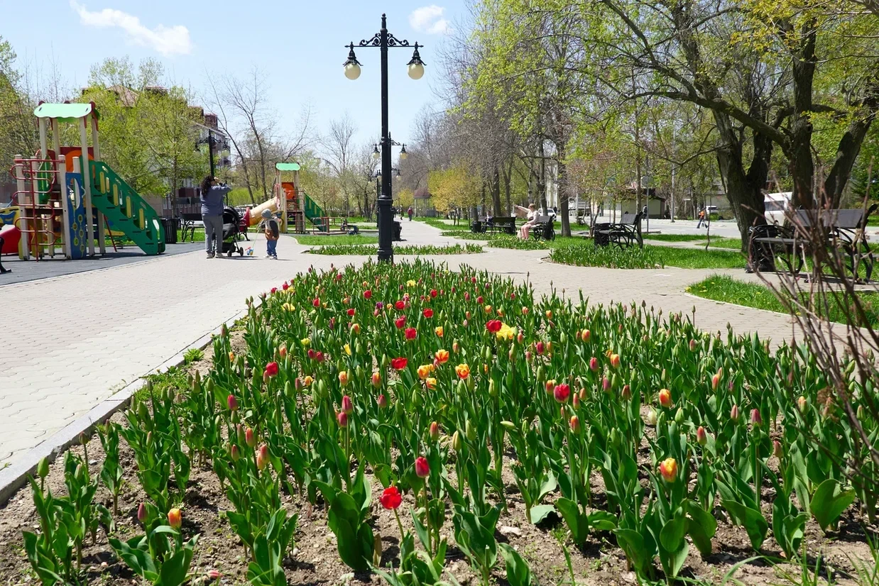 🌷 Понедельник подходит к концу, время наслаждаться красивым!   Помимо цветущей сакуры, городские ули
