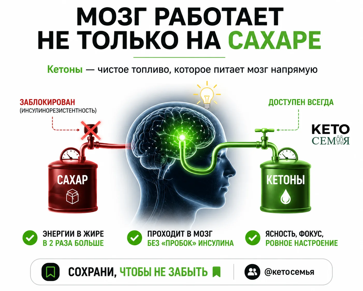 🧠 МОЗГ РАБОТАЕТ НЕ ТОЛЬКО НА САХАРЕ