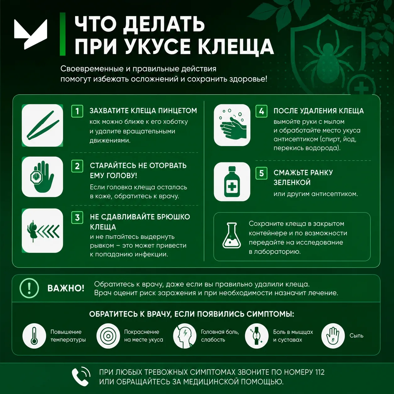 🕷️ Клещ — маленький, но опасный. Знайте, как действовать!
Лето — время прогулок, походов и отдыха н