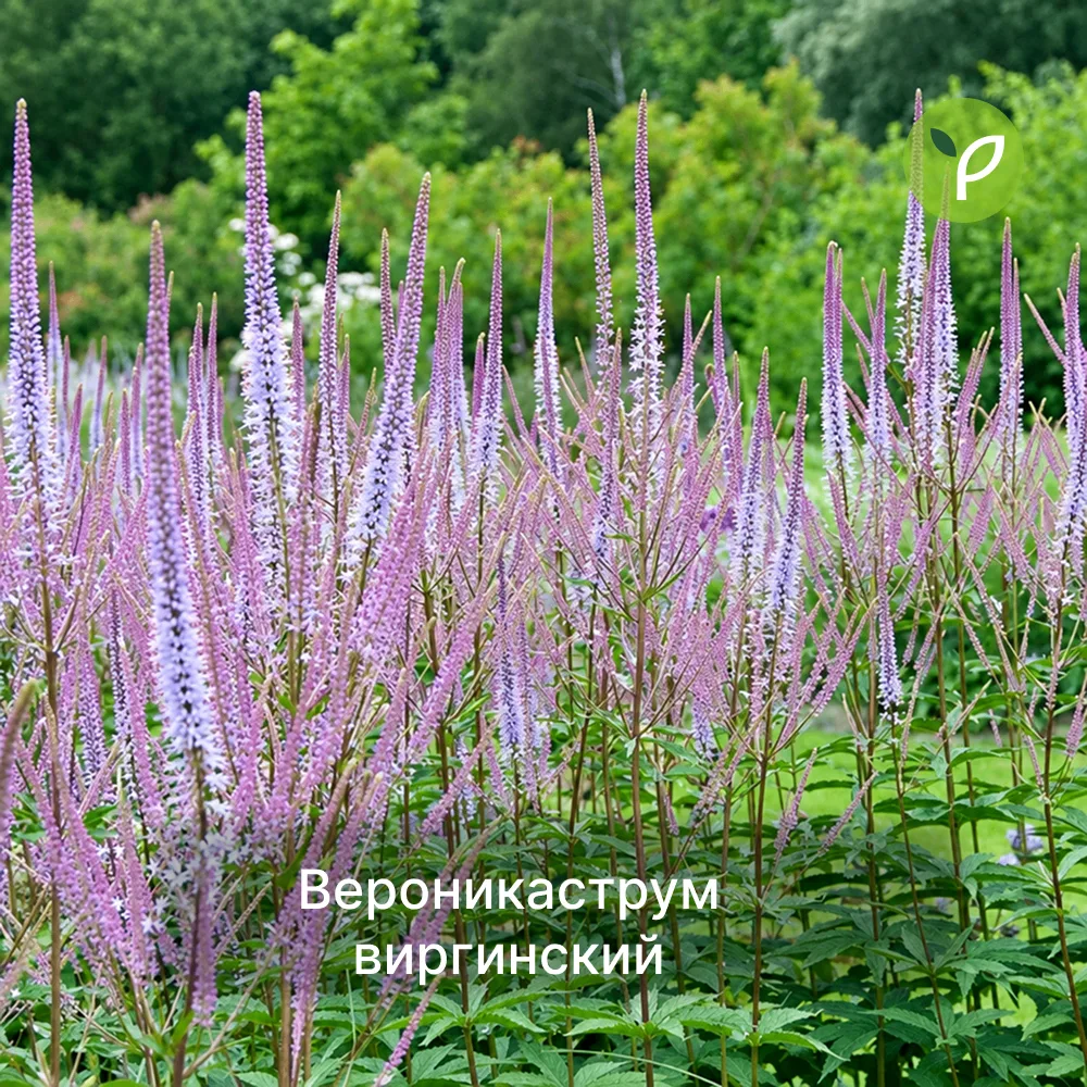 ФИНАЛЬНЫЙ ОТСЧЕТ: последний день осеннего ценопада! 🚨 Весь ассортимент в наличии и уже...