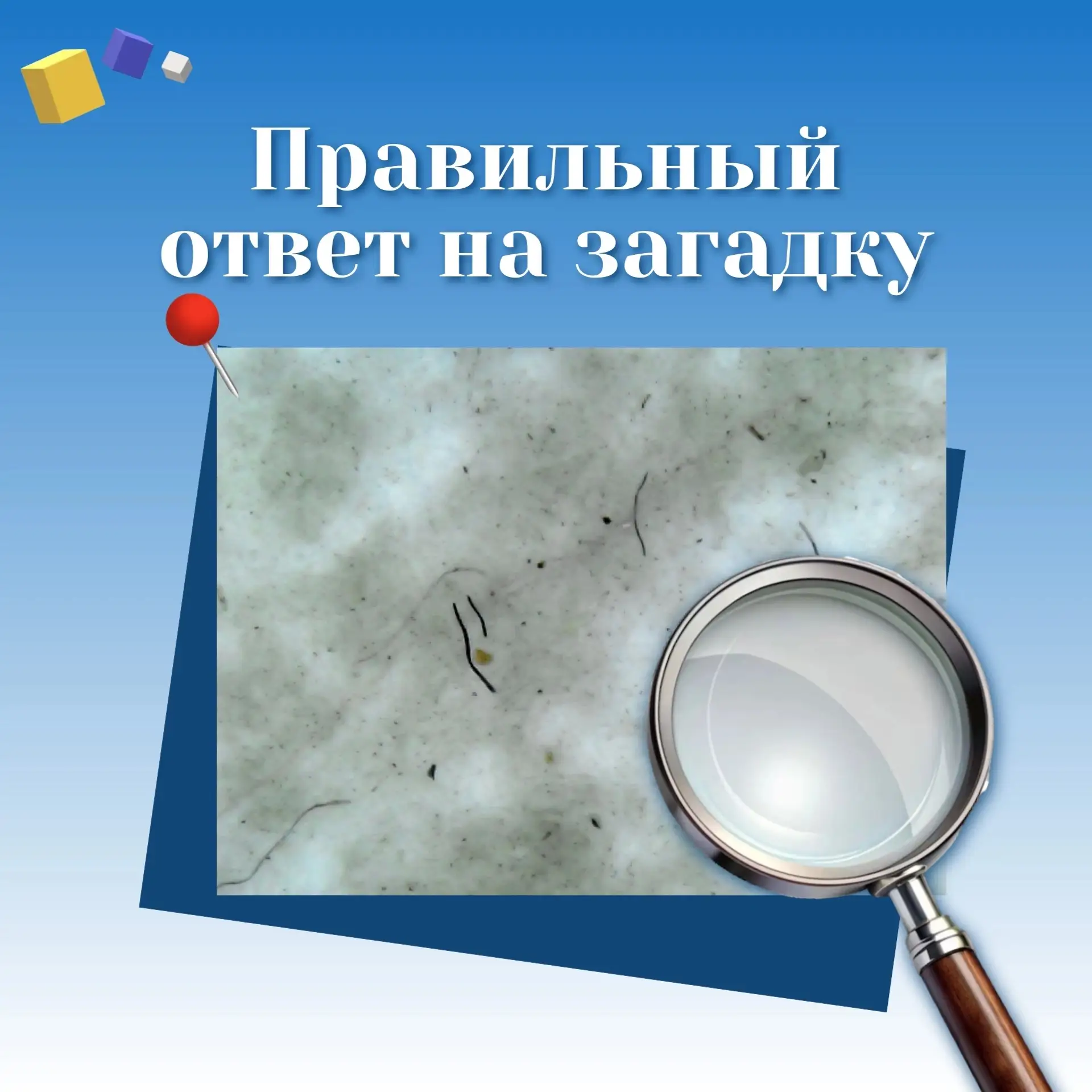 А вот и разгадка!