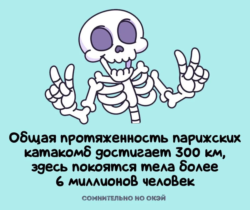 Признавайтесь, знали?
❤️ - знал
🤯 - удивлен

🖐Сомнительно, но окэй