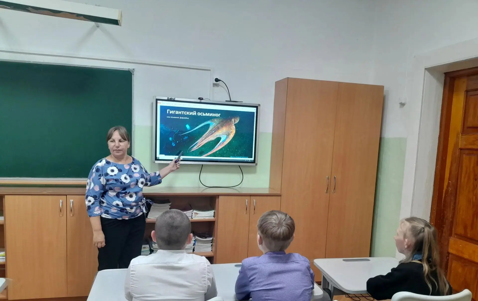 Знакомимся с символами Земли леопарда