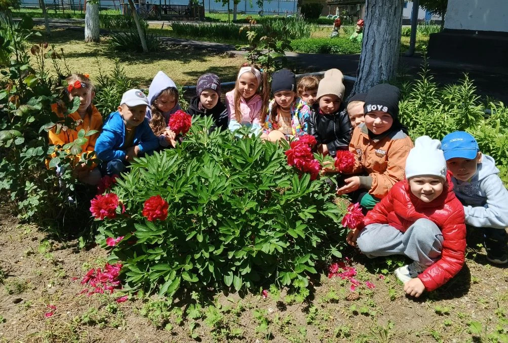 Гр"Звëздочки " 5-7 лет. Наблюдение на прогулке. "Цветы на клумбе" Цель: Расширить предс...