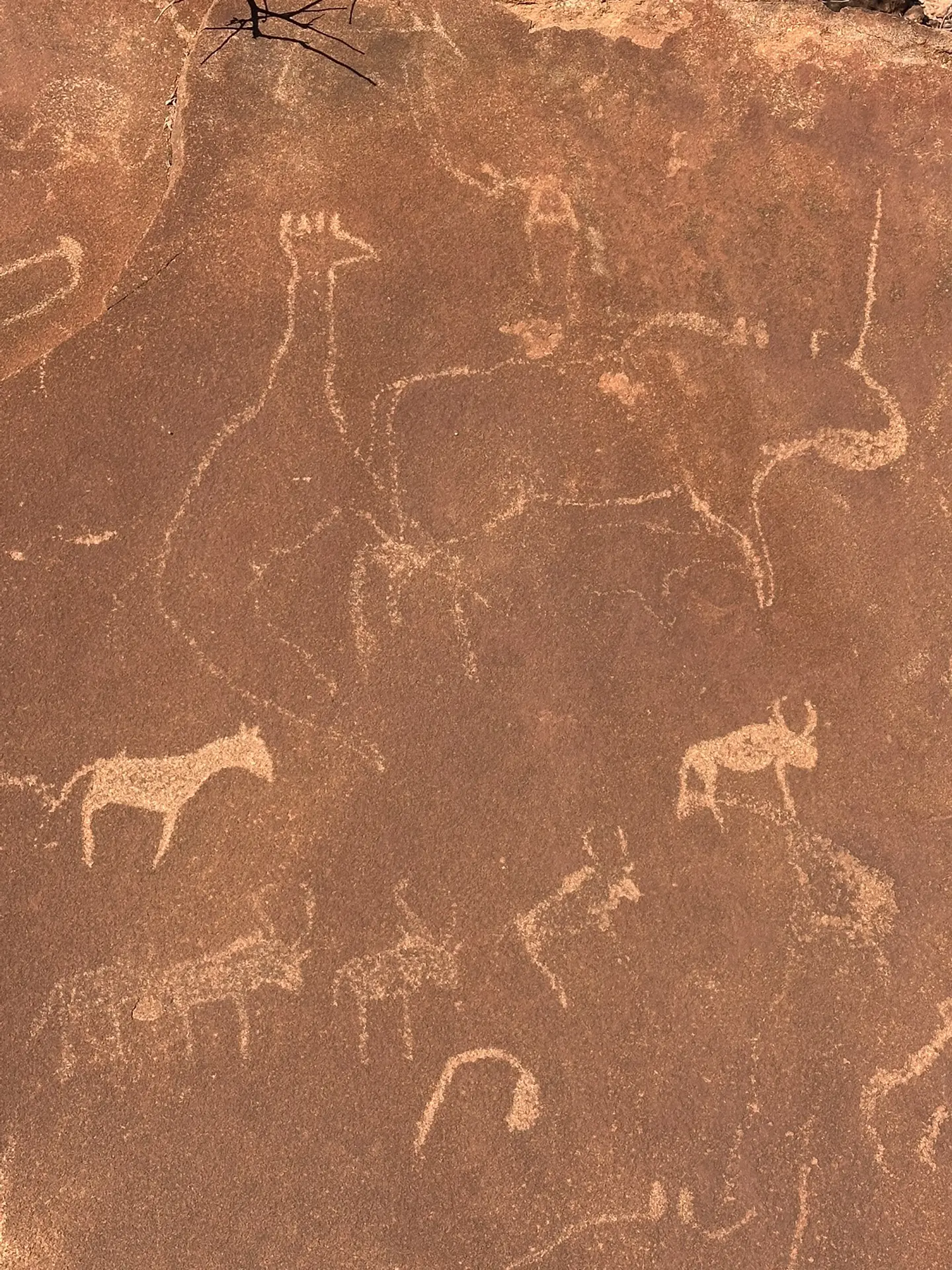 Фото 11 дня в Намибии 📸 
📍Наскальные рисунки Twyfelfontein Rock Engraving
📍 Племя Химбу Omapaha H