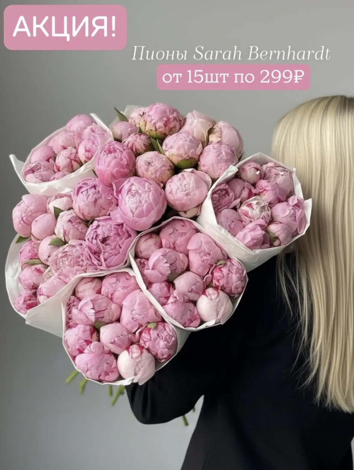 ✨Свежее поступление пионов! от 299₽