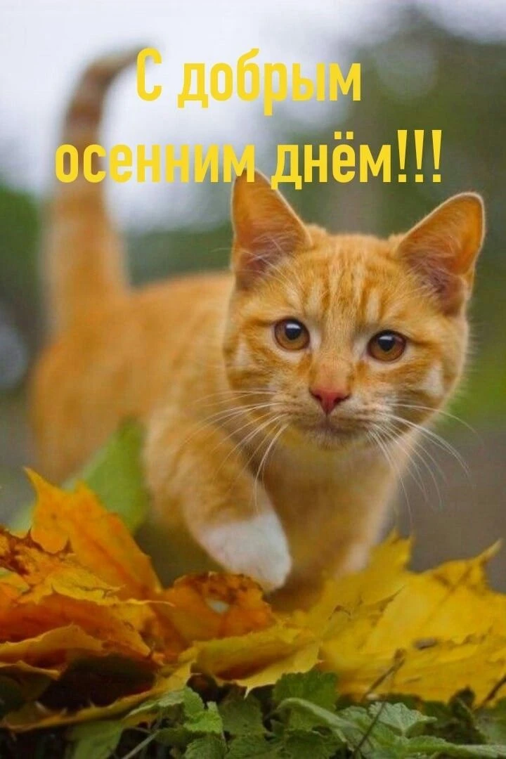 Прекрасного настроения!.