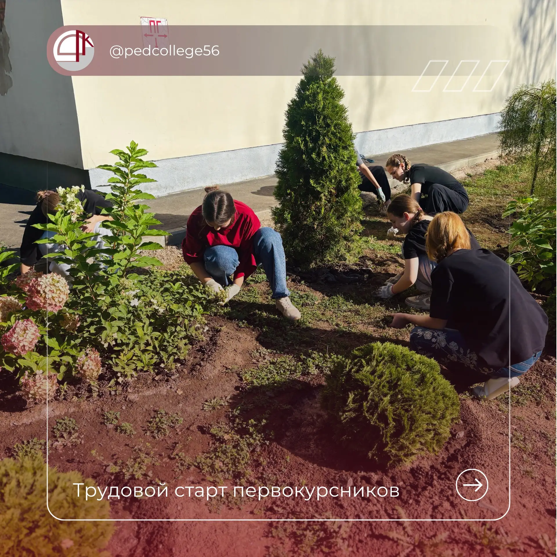 ☀️Первый труд – первое знакомство с колледжем!