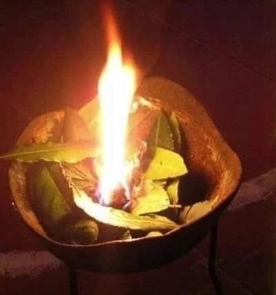 Вызов на лавровые листья