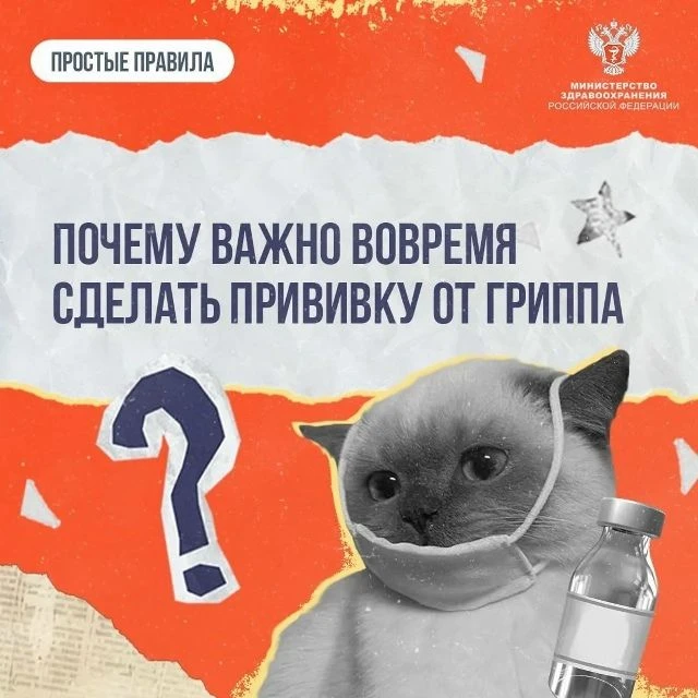 💉💊Сезон простуд встречаем во всеоружии: своевременная вакцинация дает возможность изб...