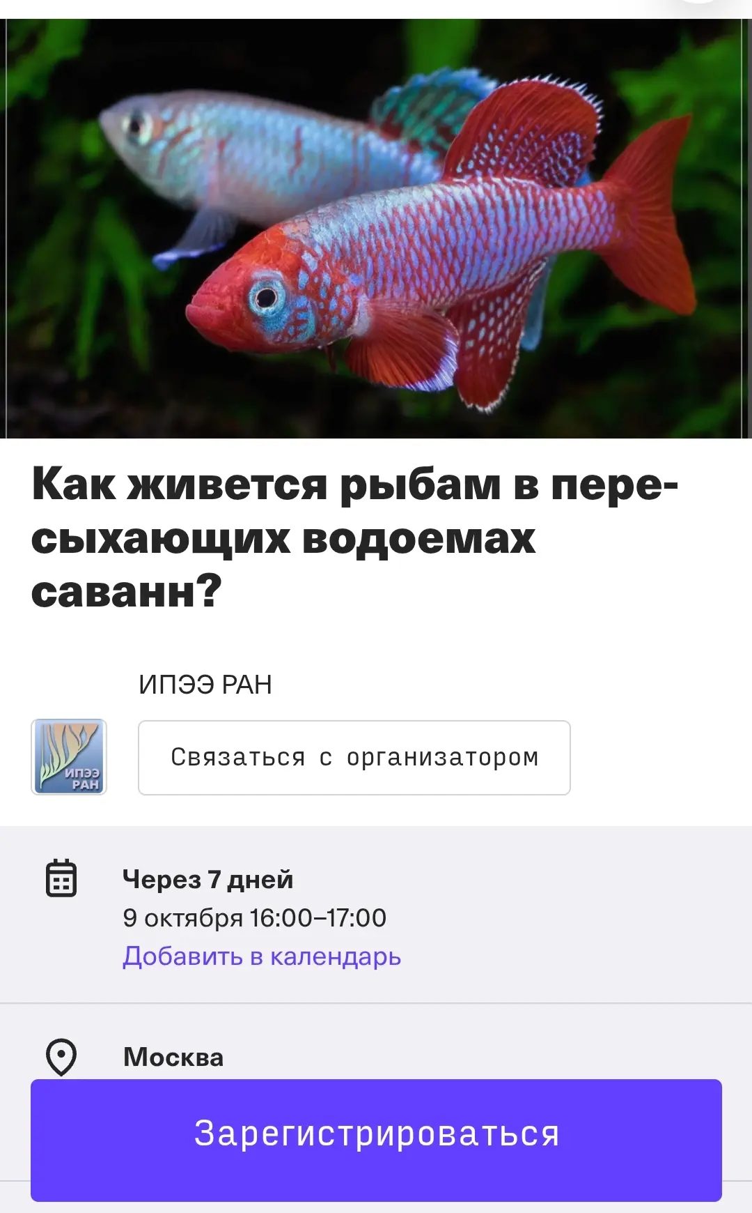 🪼Просите больше для подростков? Без проблем - ловите!