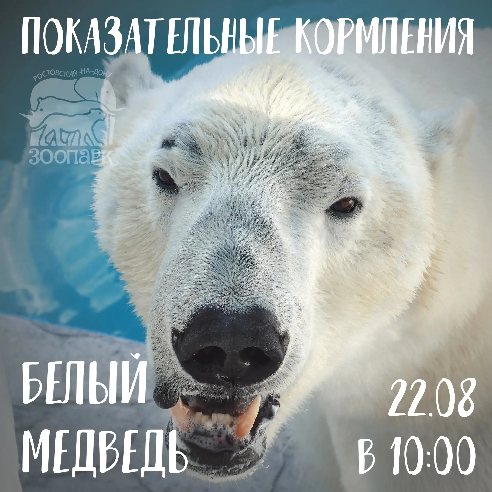 🇷🇺 22 августа вся Россия будет отмечать День государственного флага, и мы приглашаем ...