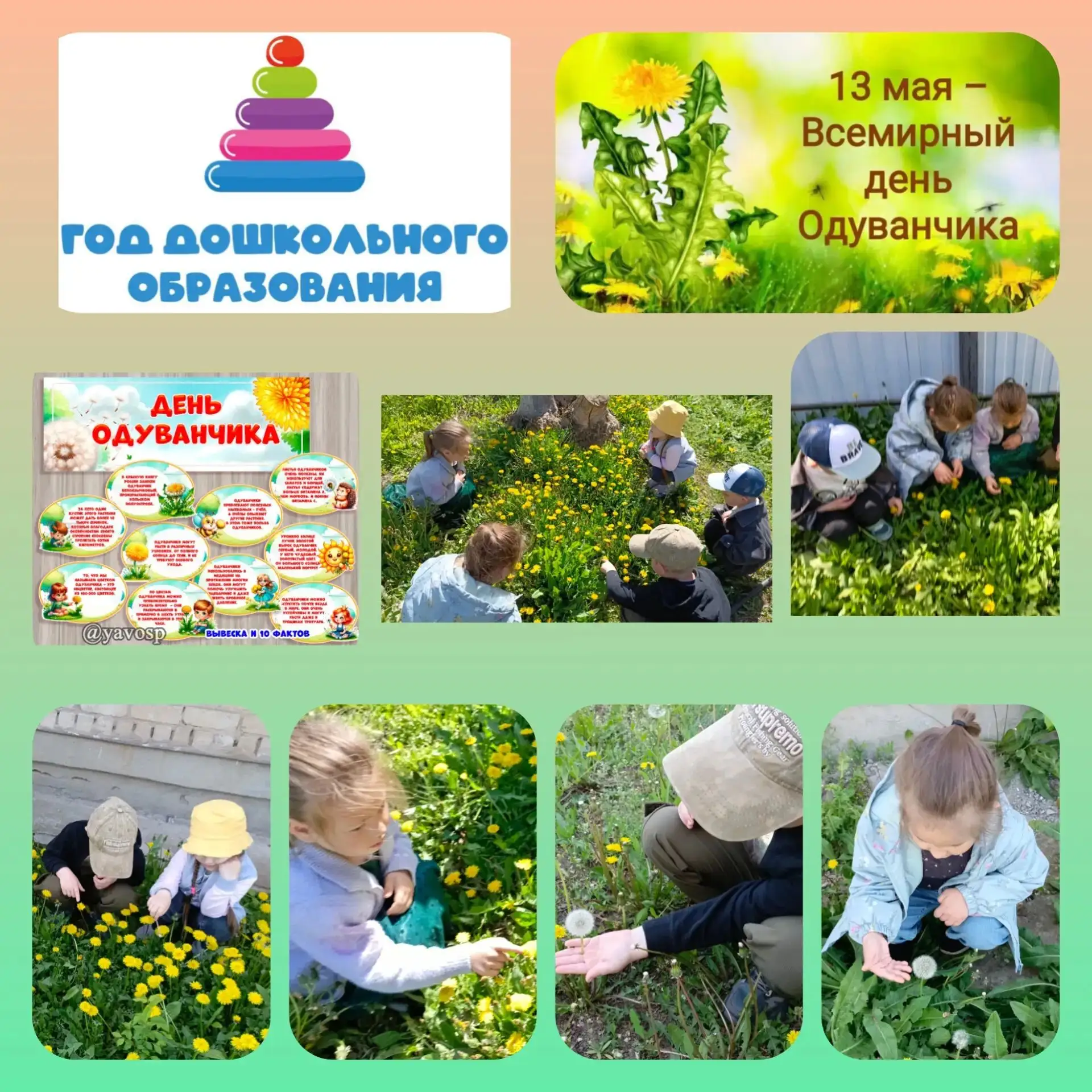 13 мая, в Международный день одуванчика, в нашей старшей группе "Знайки"прошёл яркий и ...