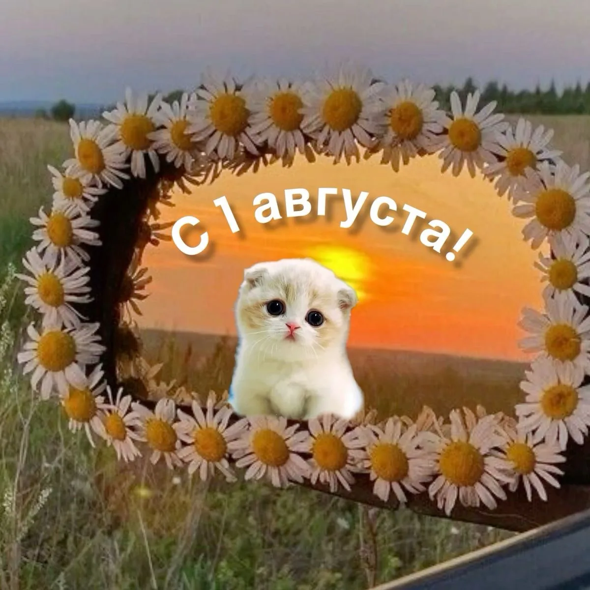 ☀️ Доброе утро!
Поздравляю с 1 августа! 🌸

Не верится, но до начала нового учебного года остался вс