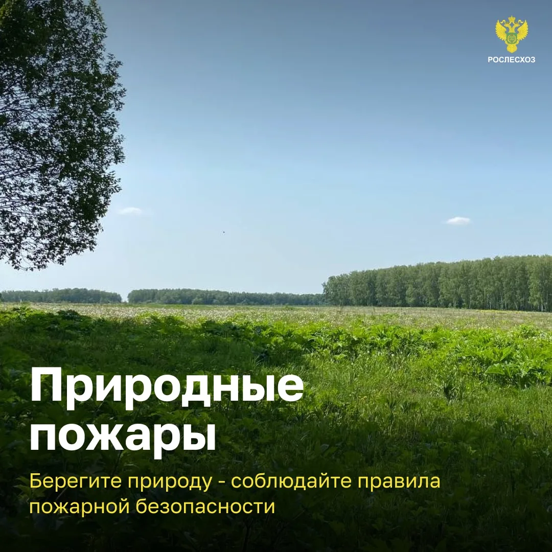 ❗️Правила пожарной безопасности важно выполнять везде❗️⁣🔥 О пожарной безопасности на п...