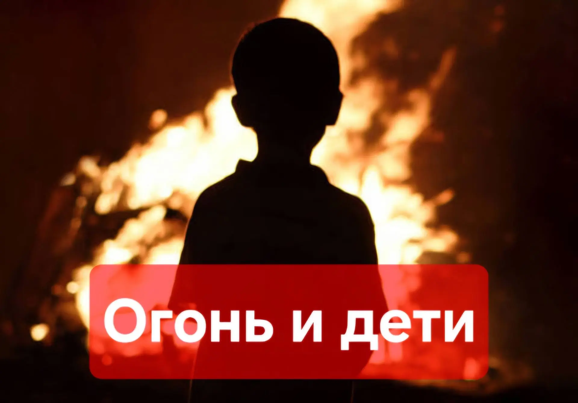 В период с 01.10.2026 по 31.10.2026 на территории Амурской области проводится профилакт...