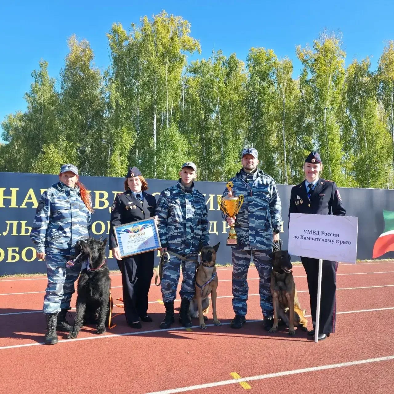 Камчатские кинологи вошли в тройку лучших в России! 🐾