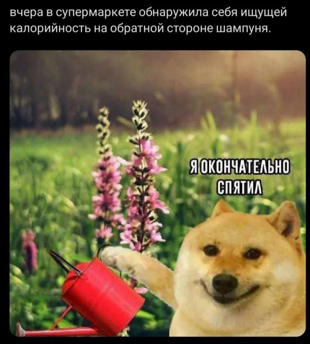 Мем дня